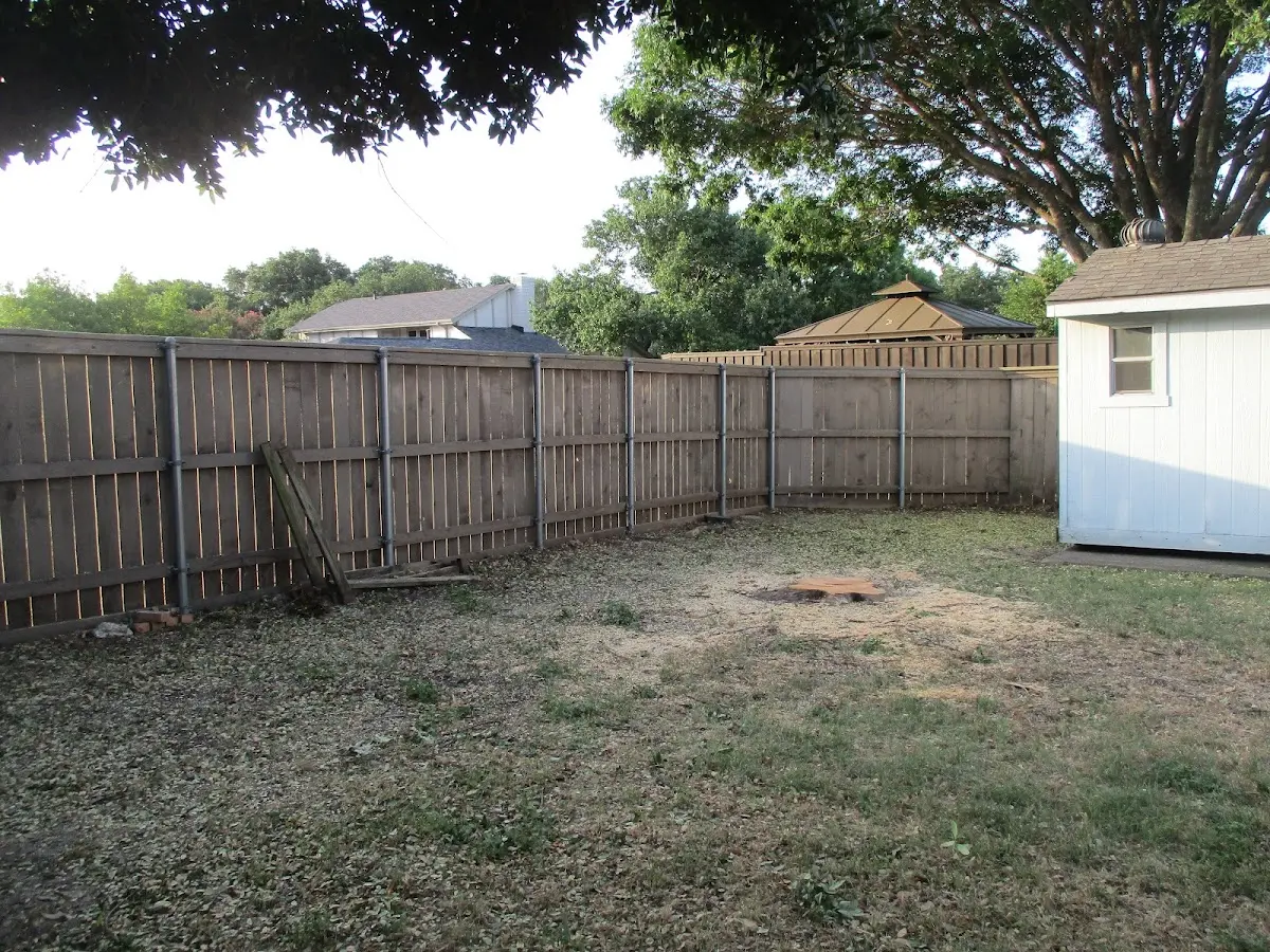 Cleared yard after professional tree removal in Cheney